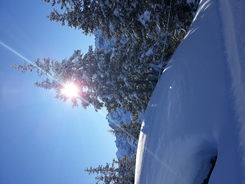 20191226_123447.jpg